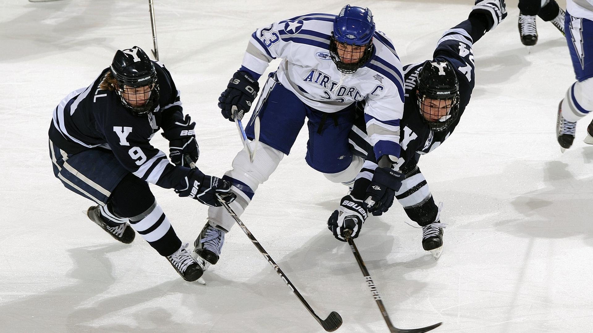 世界足球联盟推进裁判国际资格互认，提升执法一致性，国际知名足球裁判